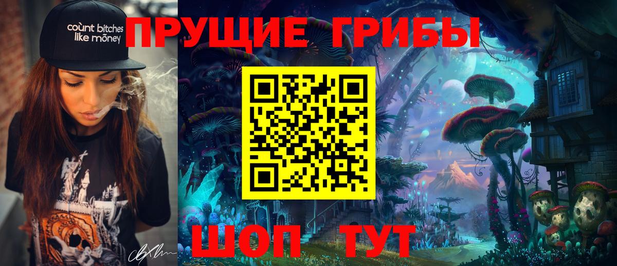 Алексеевка  Псилоцибиновые грибы мухоморы  купить  сайты  Псилоцибиновые грибы GOLDEN TEACHER  Вход с VPN 