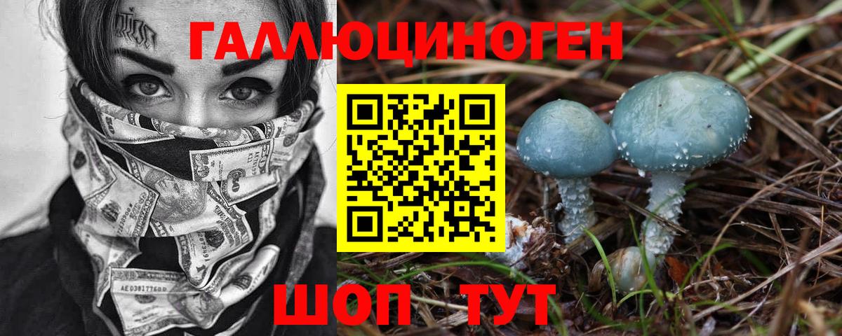 Псилоцибиновые грибы мухоморы Алексеевка